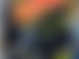 July 2026 Excursion to Hornsby Library – Celebrating NAIDOC Week