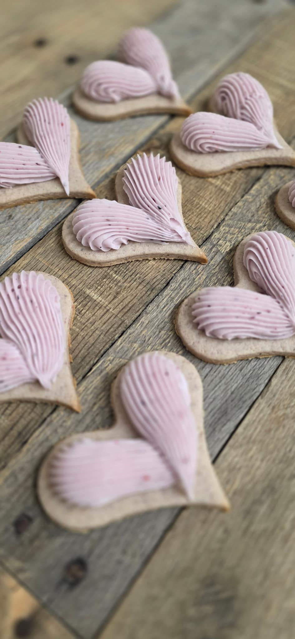 630860560_1520471196750144_5988118092678070838_n