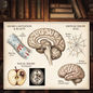 A sketch of the brain, micro-cavitation blasts, diffuse axonal injury, and focal injury