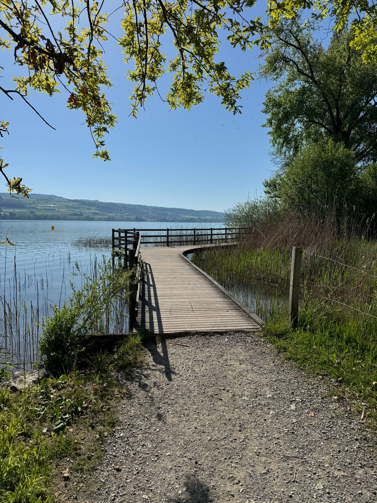 Steg am Hallwilersee