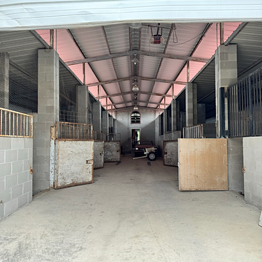 Stables