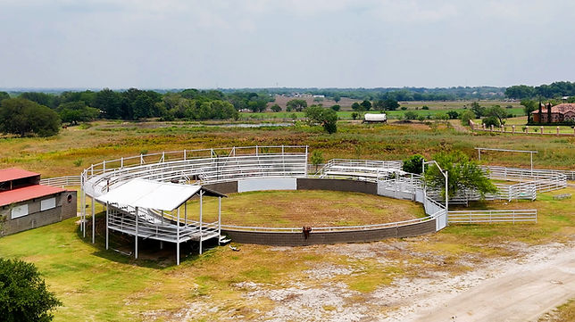 Rodeo