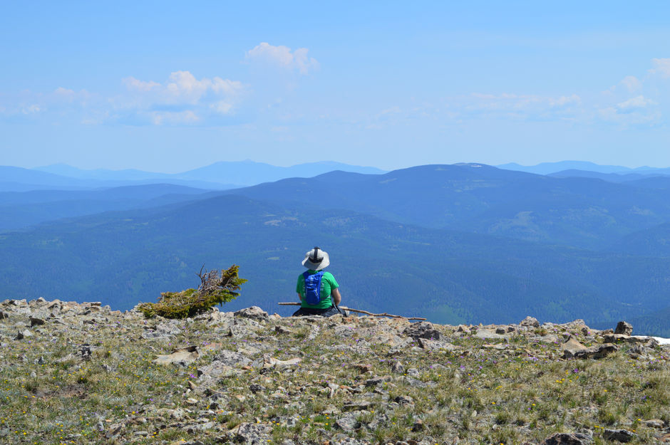 Mountaintop Perspective