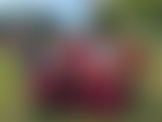 ¡Una mañana llena de magia y generosidad!