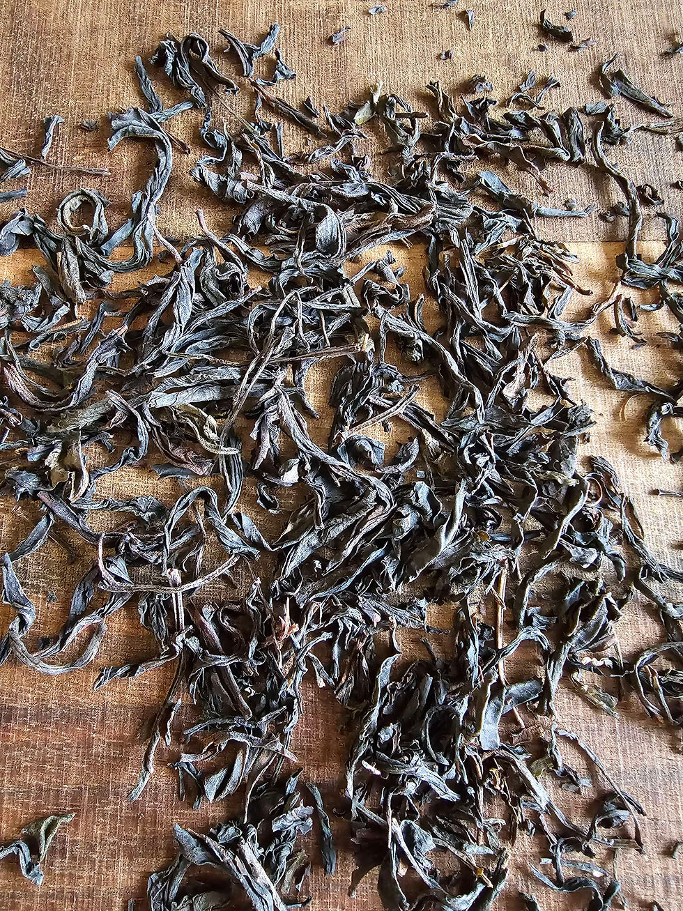 Thumbnail: loose leaf phoenix mi lan xiang oolong tea