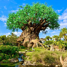 Tree_of_Life,_Disney's_Animal_Kingdom.jpg