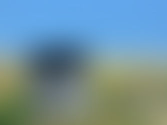 How To Let Go Of Possessions