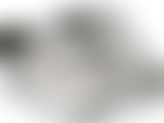 TENDENZE SLIP ON DONNA