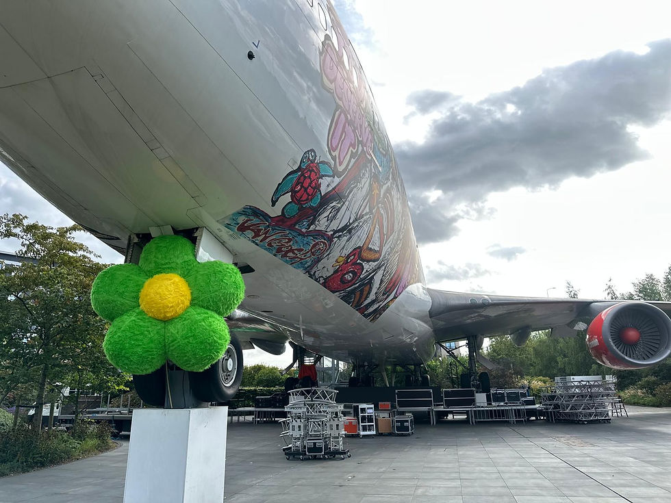 Fluffy bloem onderstel van vliegtuig, festival