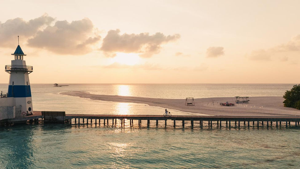 WhatsApp Image 2026-01-12 at 20.03.24 (2)