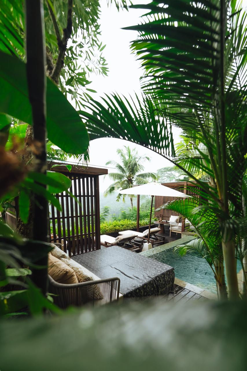 WhatsApp Image 2026-01-12 at 19.51.34 (1)