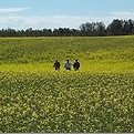 agronomy.jpg