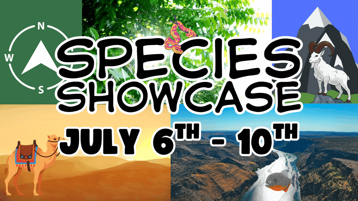 Species Showcase