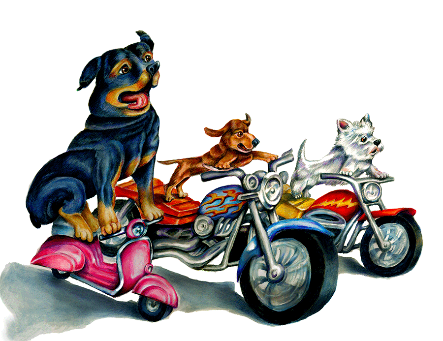 PACK Dogs