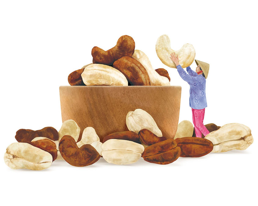巨大なカシューナッツを運ぶ女性のイラスト