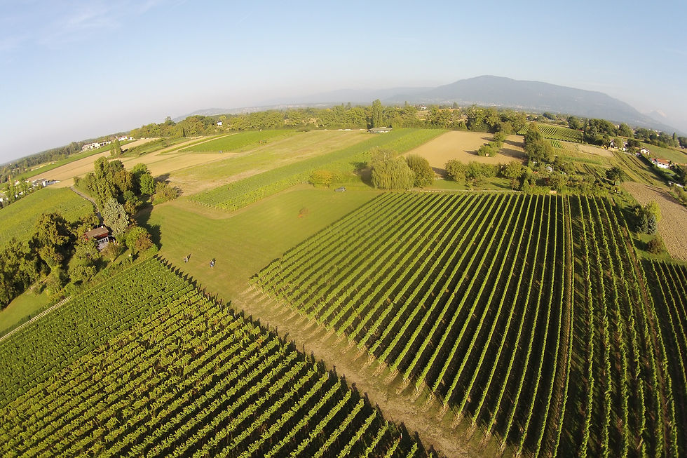 Photos | Les Parcelles