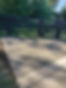 decorative concrete driveway.jpeg