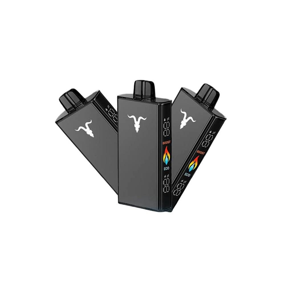 IGNITE V250