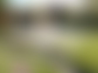 A Timber Constuction Contemporary Garden Office Room Set in a Beautiful Garden Setting in the New Forest