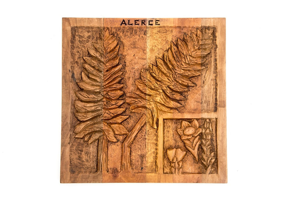 Alerce