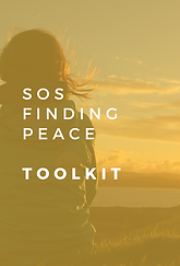 Toolkit Bundle Image (392 x 574 px).png