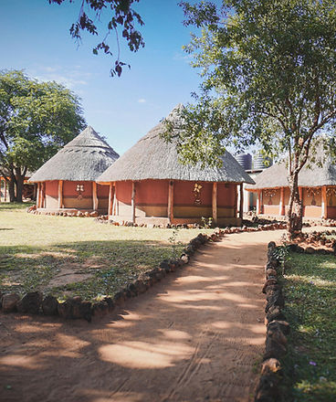 PHOTO-2024-12-02-16-54-54 2_edited.jpg