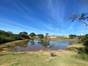 Parque Ecológico Reserva Paraíso passa por limpeza abrangente, em Valparaíso