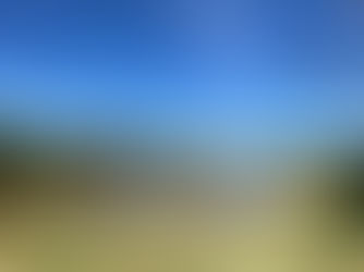 Parque Ecológico Reserva Paraíso passa por limpeza abrangente, em Valparaíso