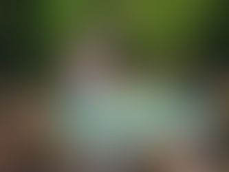 Turismo goiano avança 16,6% em 2022, aponta IBGE