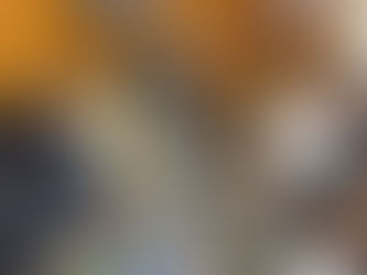 Secretaria do Entorno de Goiás atua em conjunto por soluções para a taxa de uso do acostamento