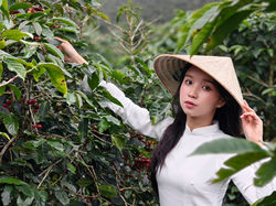 Phạm Thị Diễm_holding Branch
