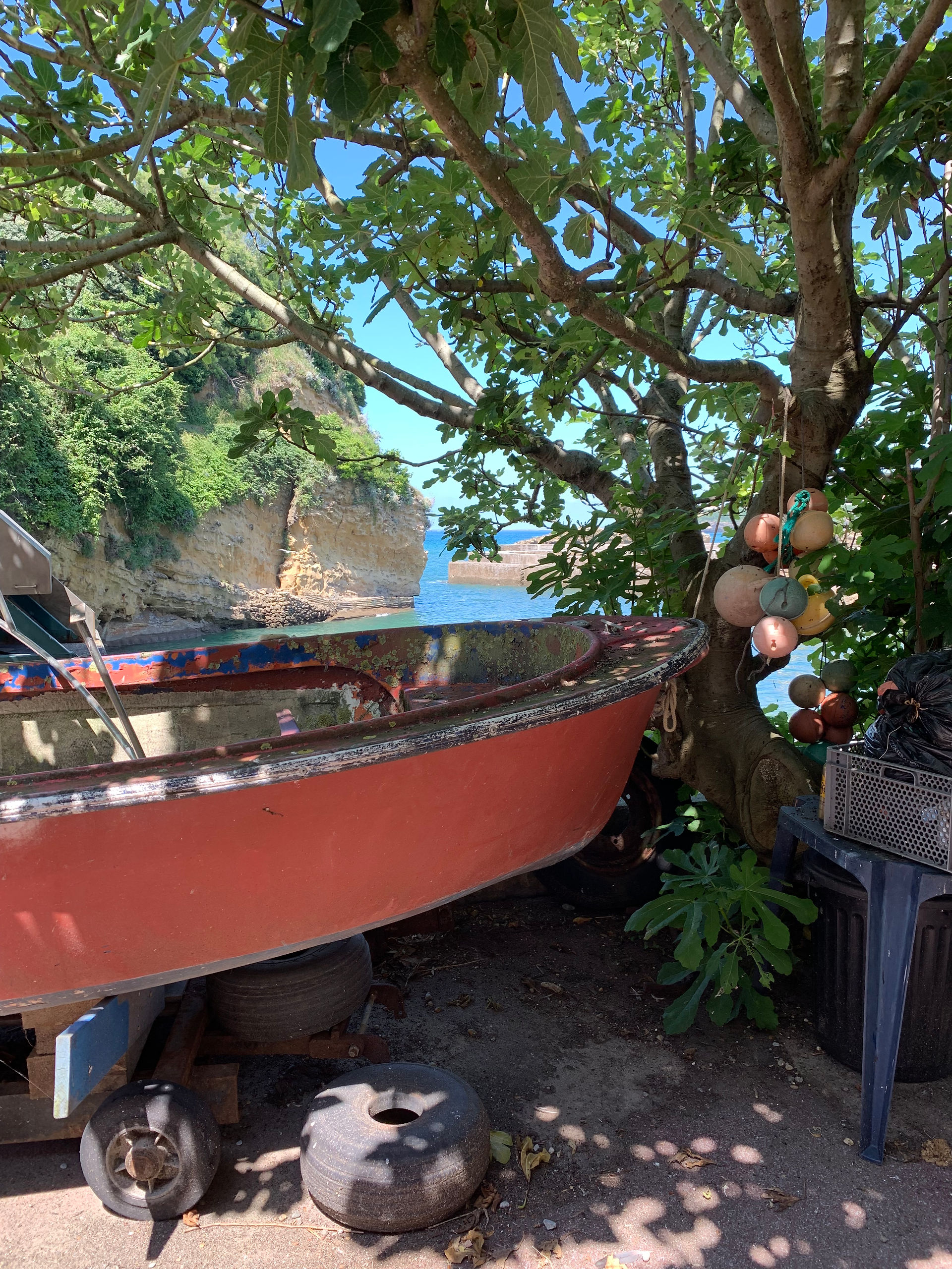 Meer | Baskenland | Frankreich | Fischerei | Fischen | Fischernetz | Fischerboot | Boot | Urlaub | Sommer | Sonne | Hafen | Kueste | myGiulia