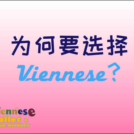 为何要选择Viennese？