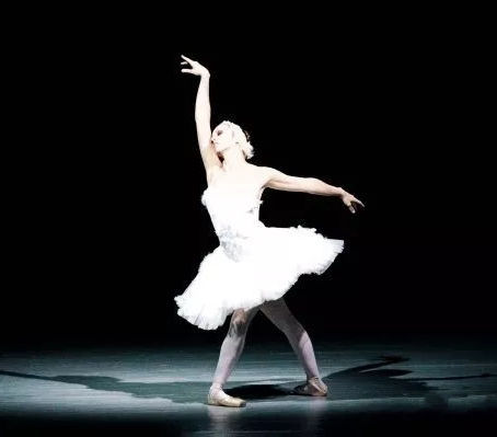 学习芭蕾知多少 02