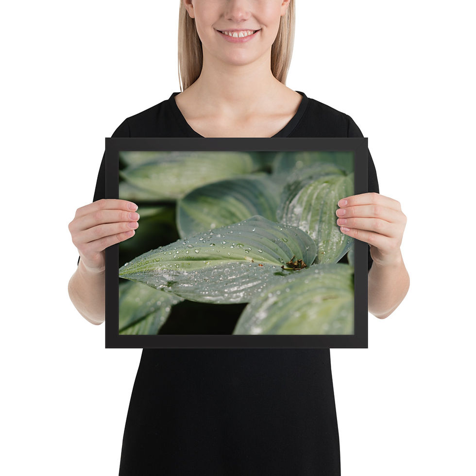 Thumbnail: Deep green leaf - Framed (Ultra High Resolution) - Matte
