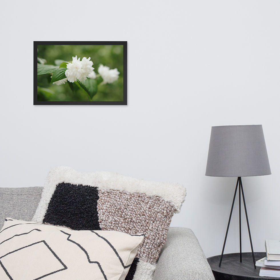 Thumbnail: White flower - Framed (Ultra High Resolution) - Matte