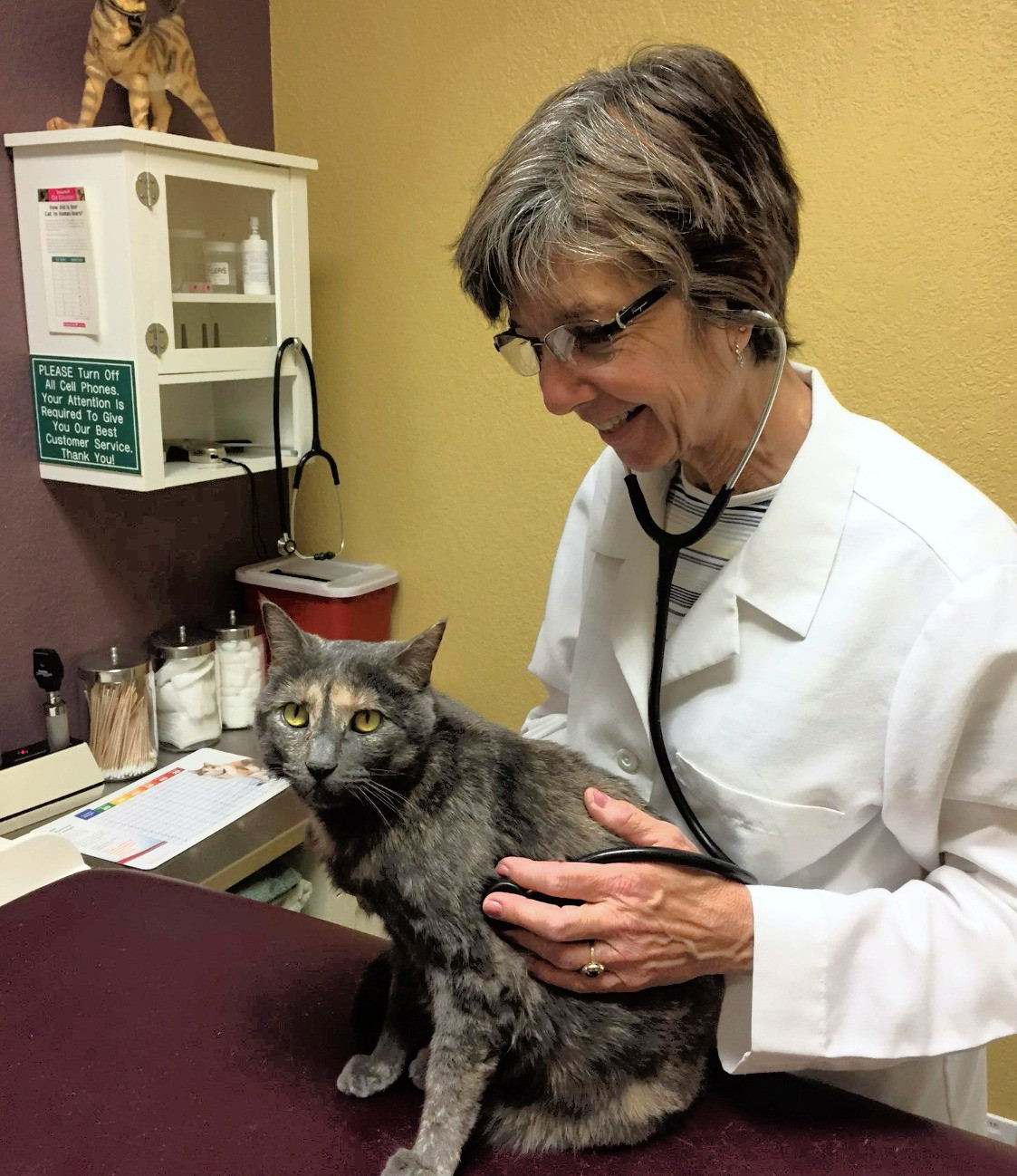 50 best ideas for coloring Cat Care Clinic