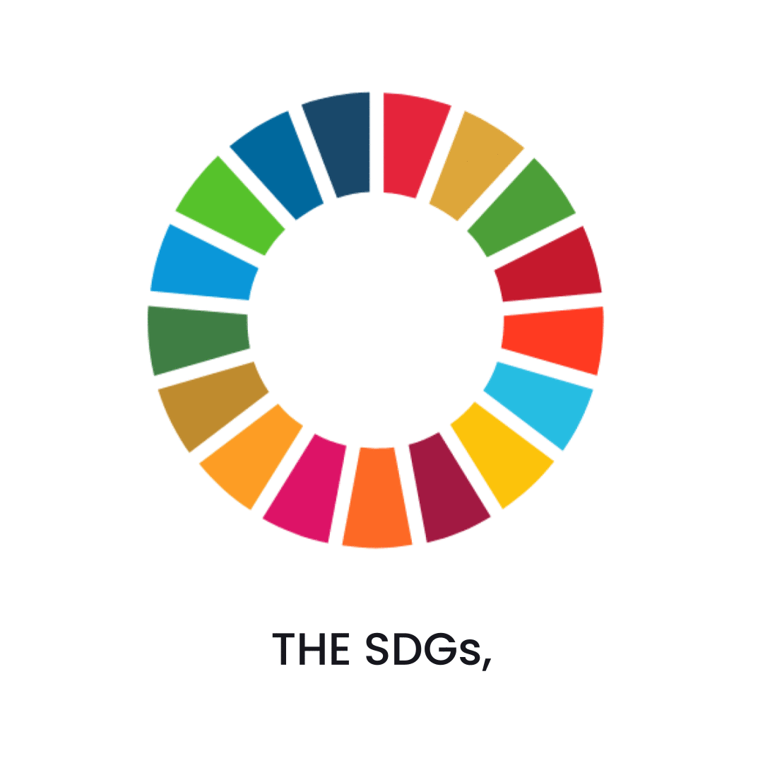 SDG Animation on White.gif