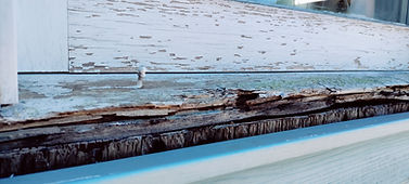 building rot contractor