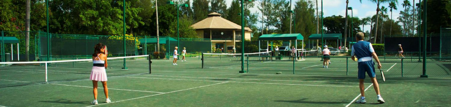 Har-Tru clay courts