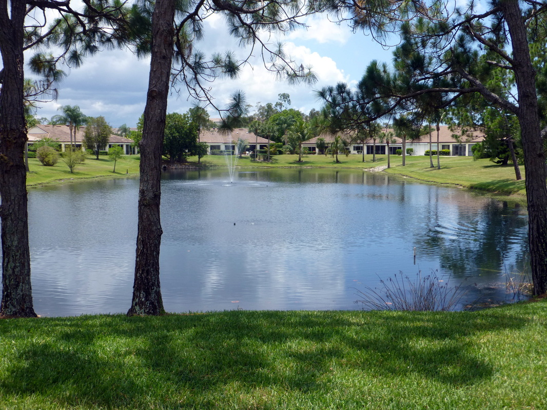 East Pond facing South