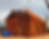 Horno.png