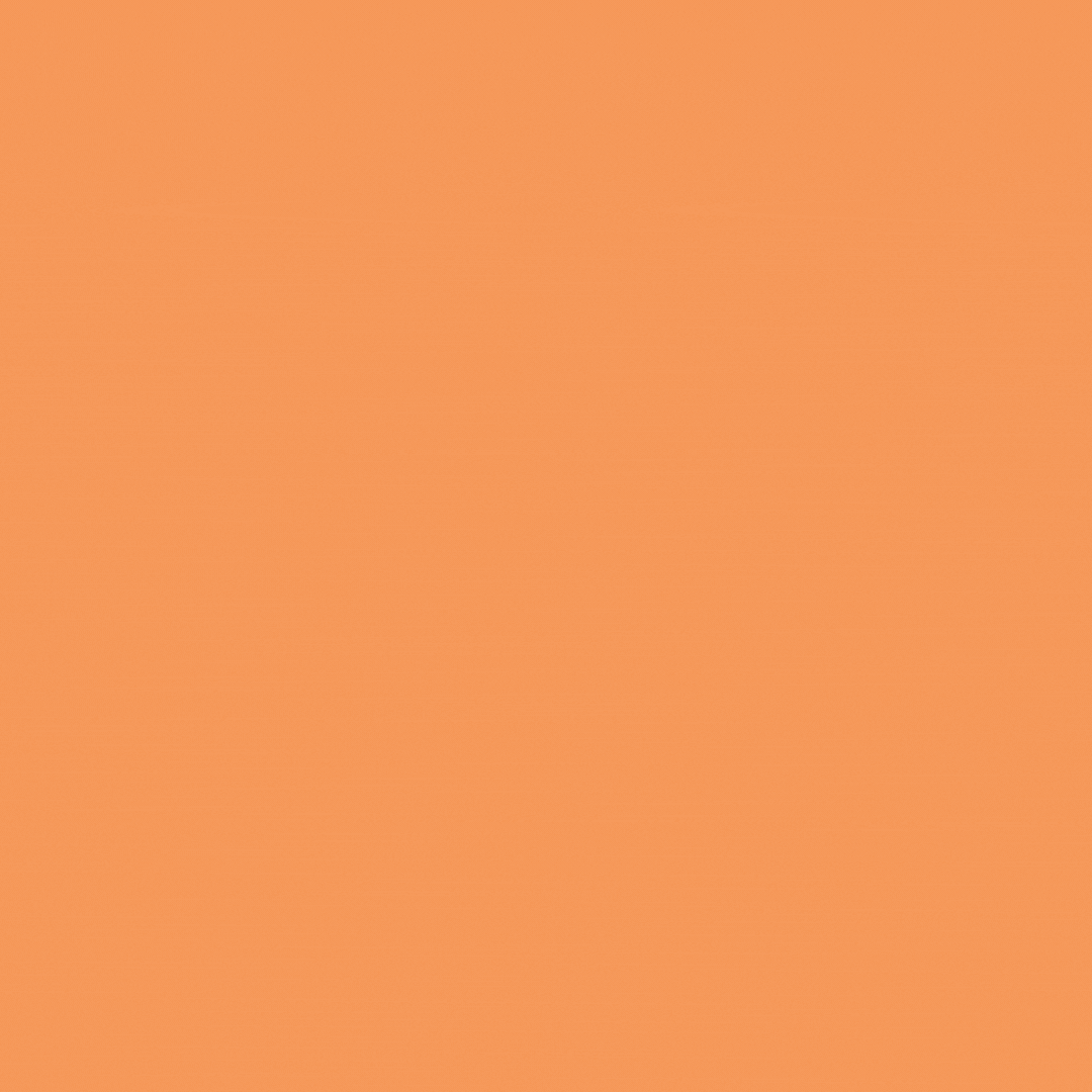 Animated Nokomis Days t-shirt_orange.gif