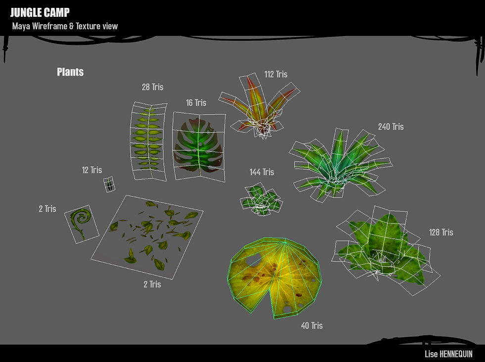 Plants