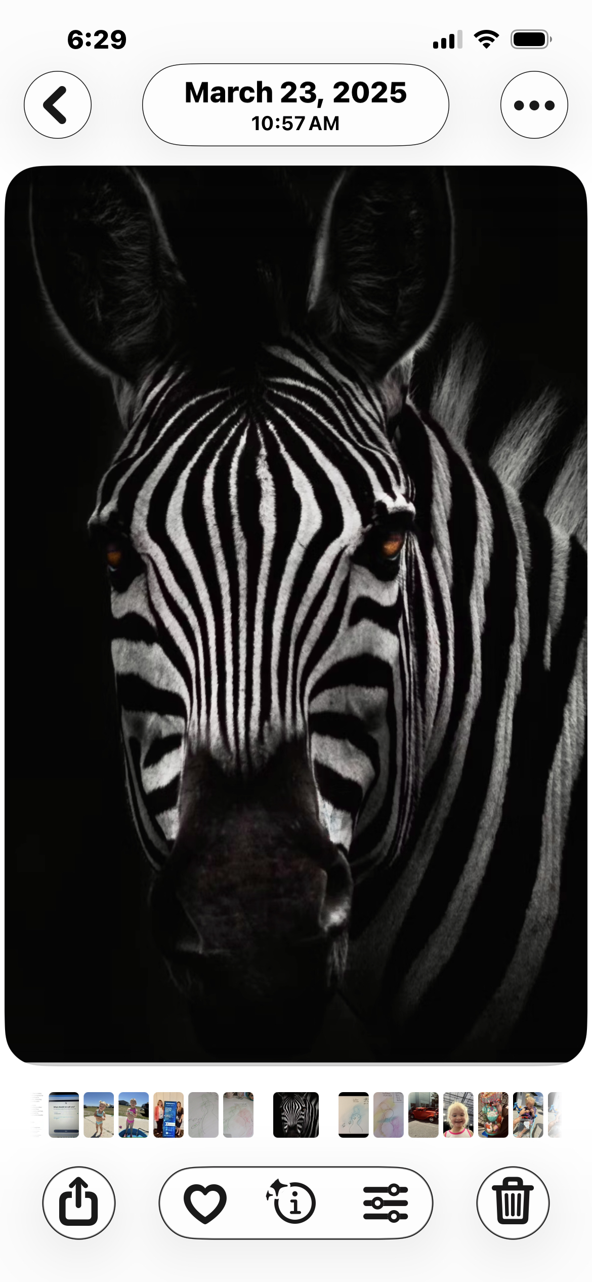 Writer: zebrathemiddleaged