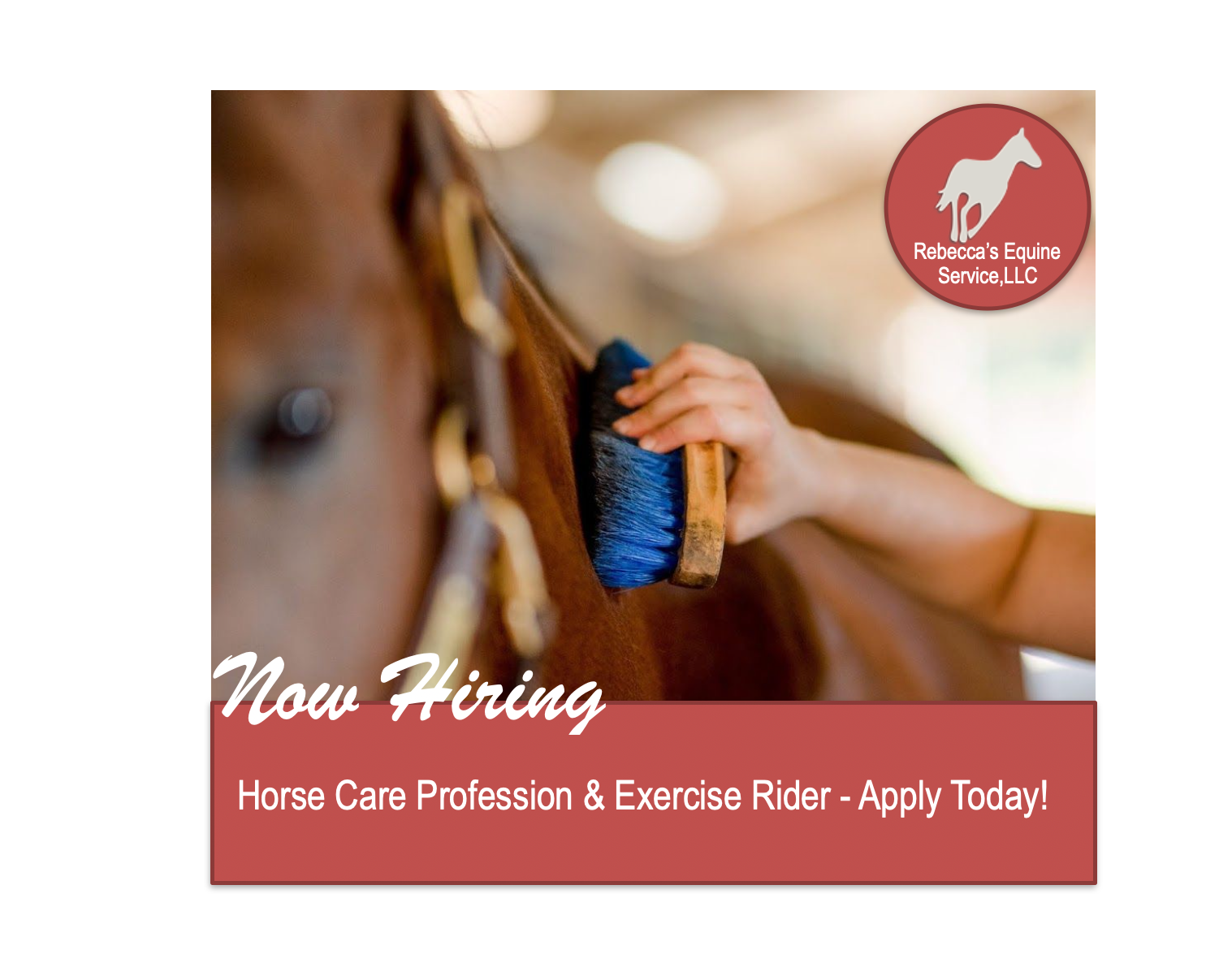Now Hiring equineexercise