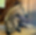 IXYu-conv-attach-128053964_edited_edited.jpg