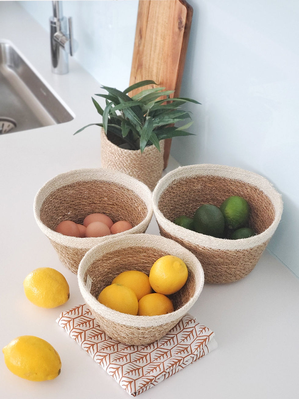 Thumbnail: Savar Plant Bowl (Set of 3)