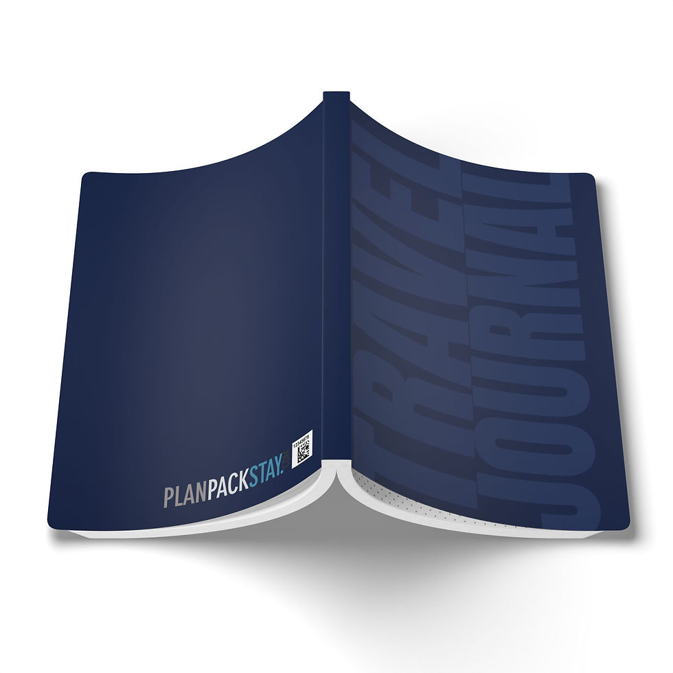 Thumbnail: Plan Pack Stay Blue Travel Journal 