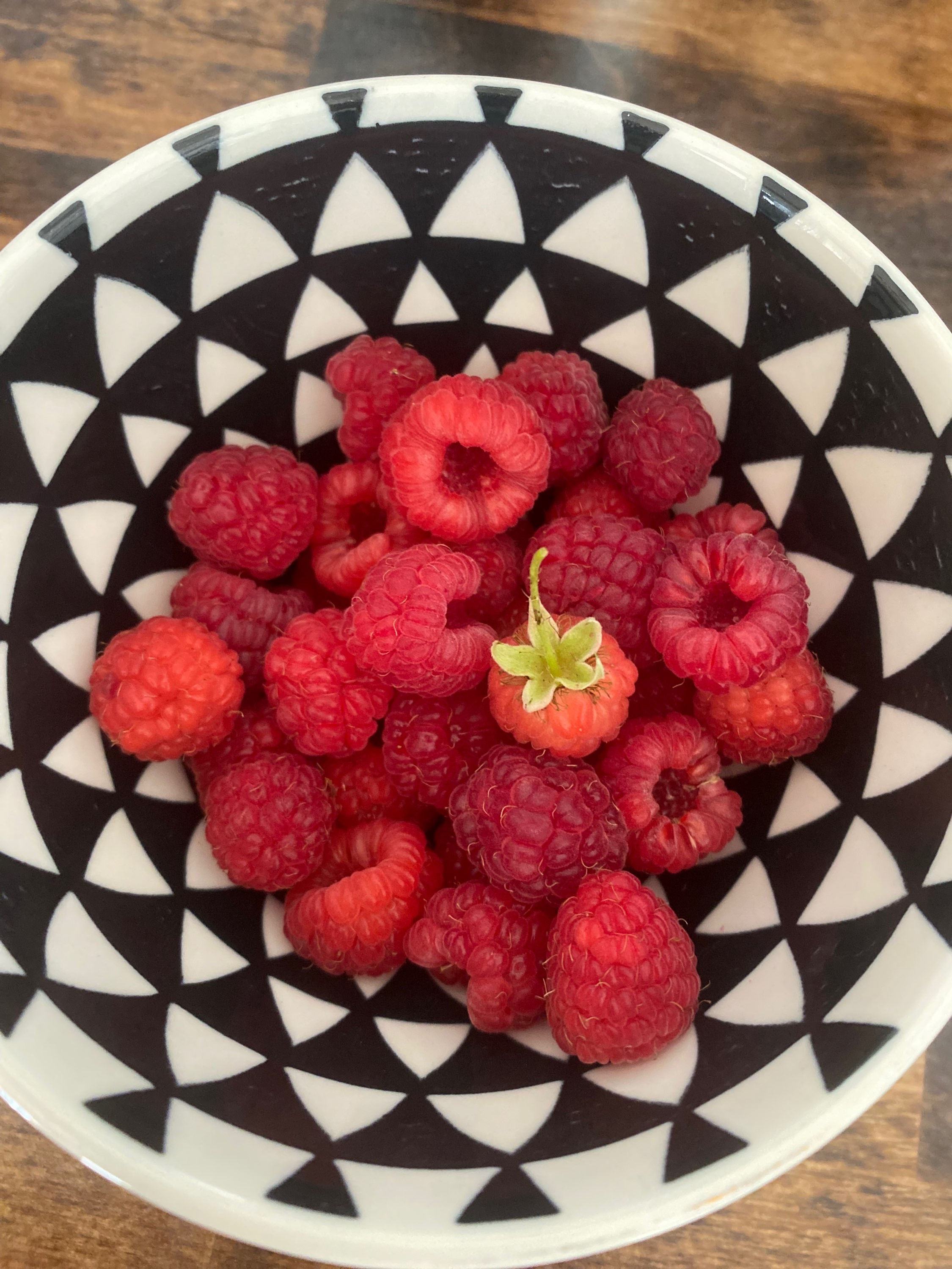 Raspberry Canes